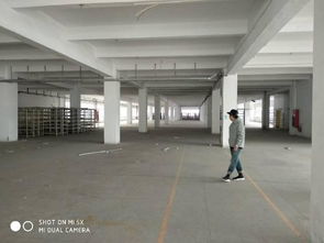 厚街精品花園獨(dú)院廠房出租 打造理想廣告設(shè)計(jì)創(chuàng)作空間